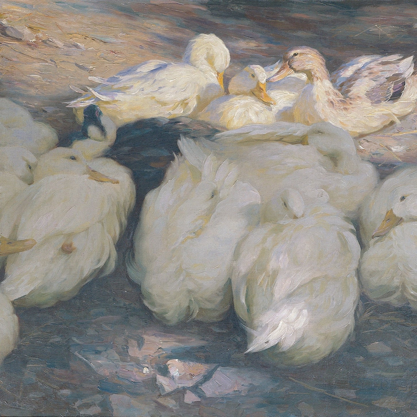 <i>In the Evening Sun</i>