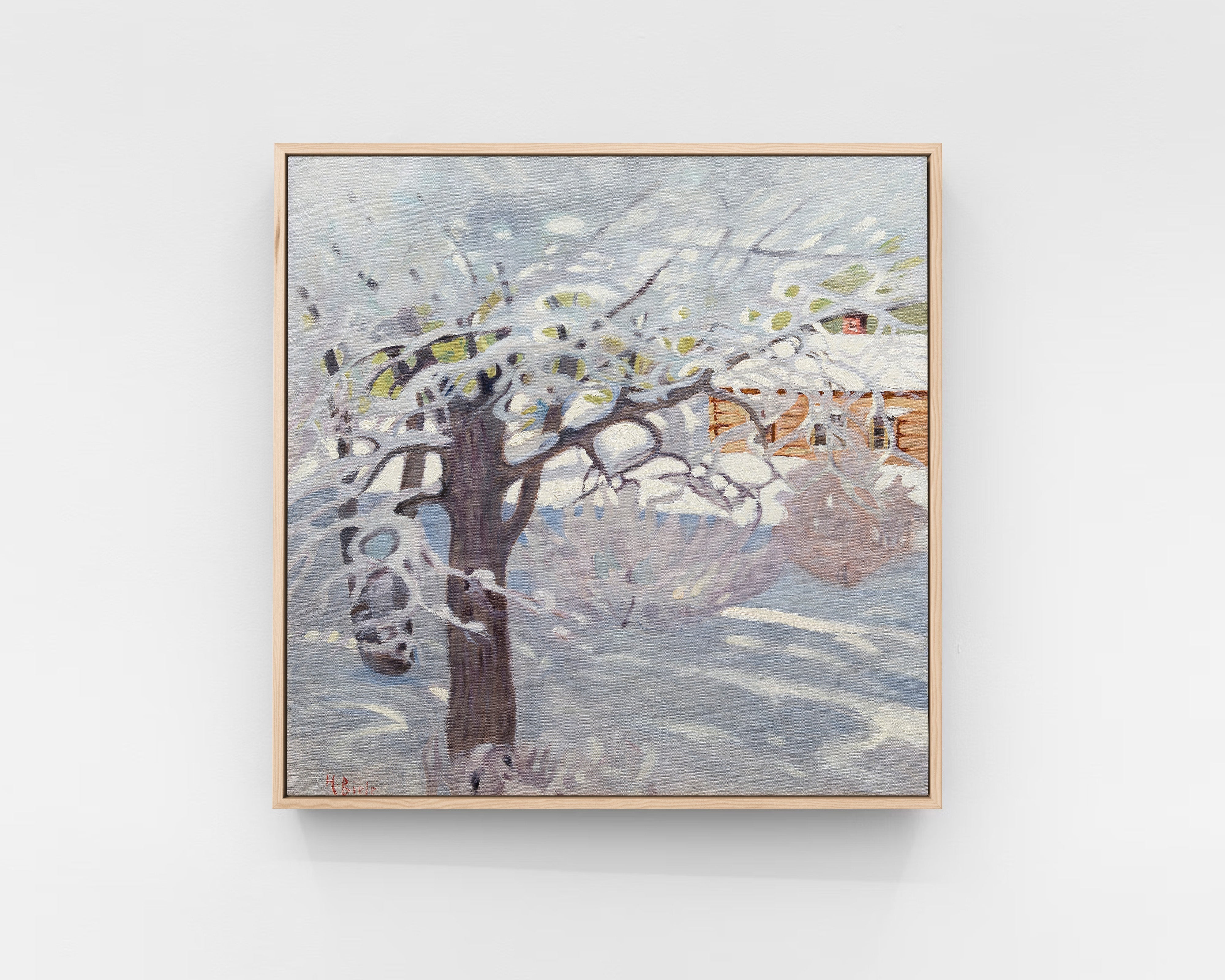 Biese Sunny winter day